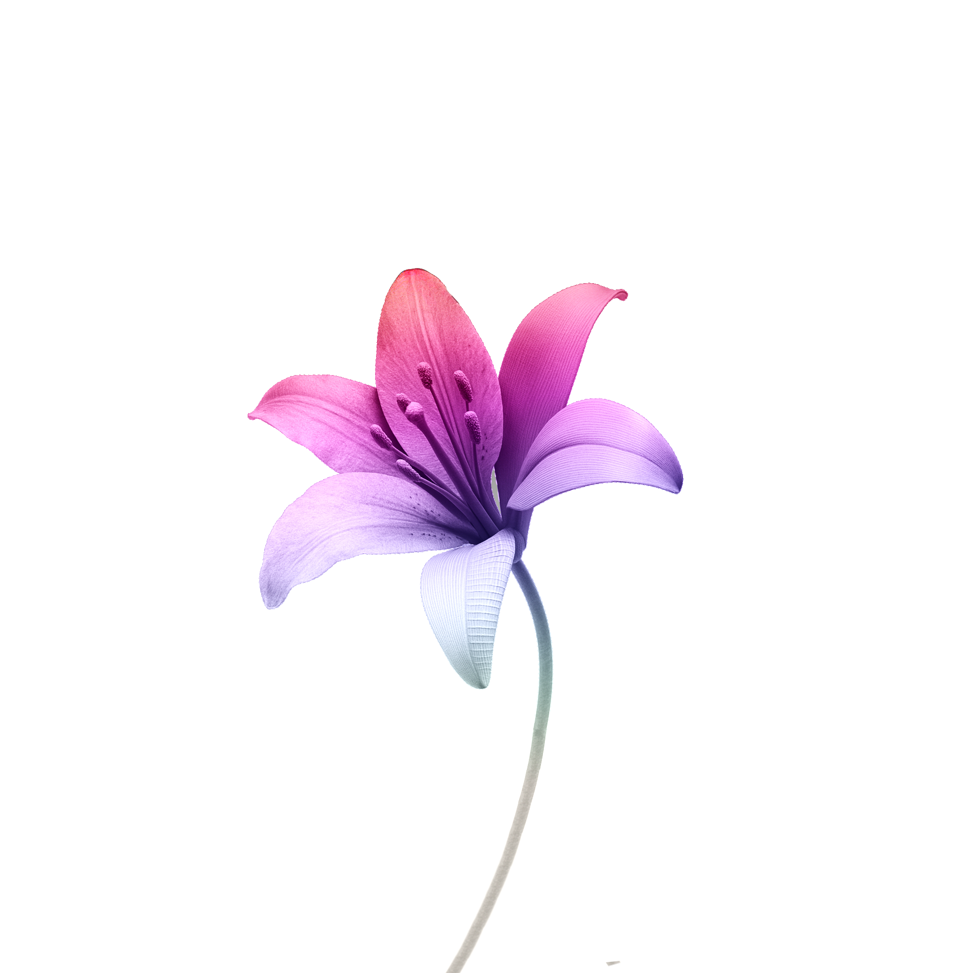 Echo Flora
